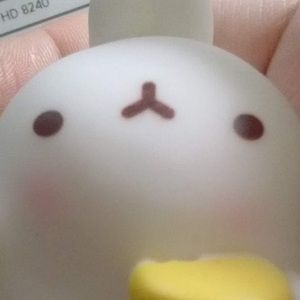 Meet your Posher, Ceecee